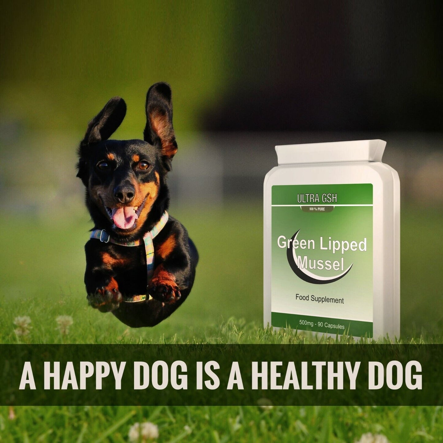 ULTRA - Green Lipped Mussel For Dogs & Humans Joint Health 500MG 90 Capsules